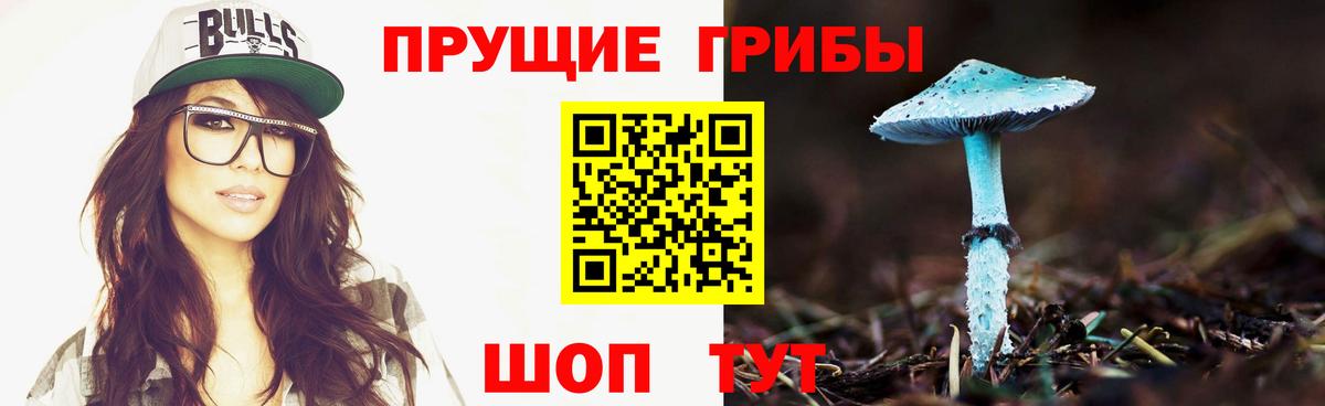 дарнет шоп  Псилоцибиновые грибы Psilocybe  Вход с VPN  Галлюциногенные грибы мухоморы  Дедовск 